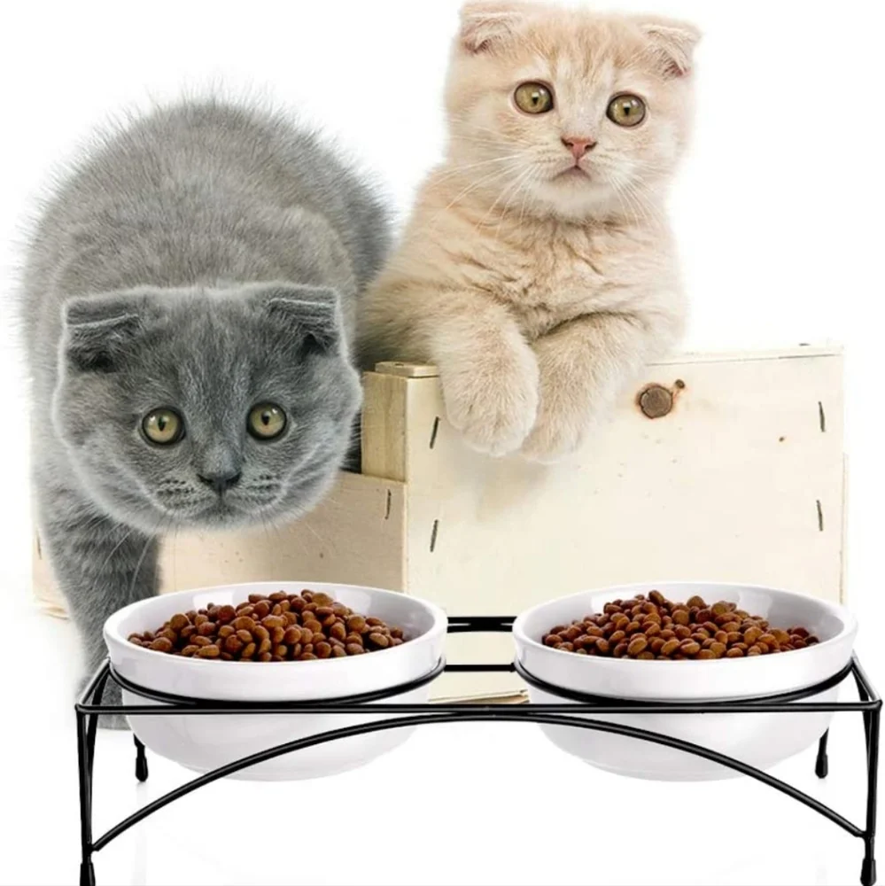 YHY Cat Food Water Bowl with Stand White 🐈 😻 (READ)